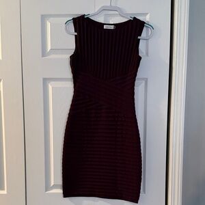 Calvin Klein Burgundy Mini Dress